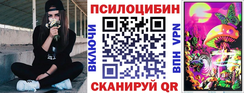 Псилоцибиновые грибы Psilocybine cubensis Ардатов