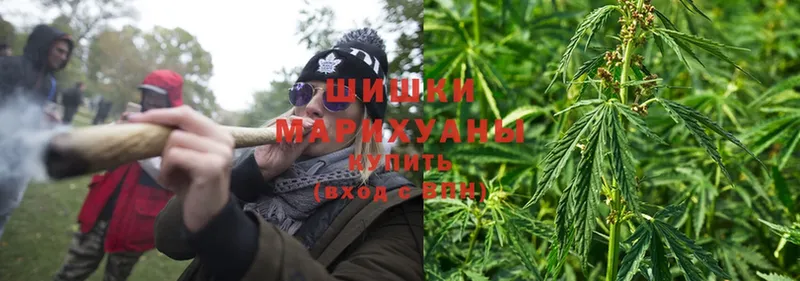 Канабис Amnesia  где можно купить наркотик  Ардатов 